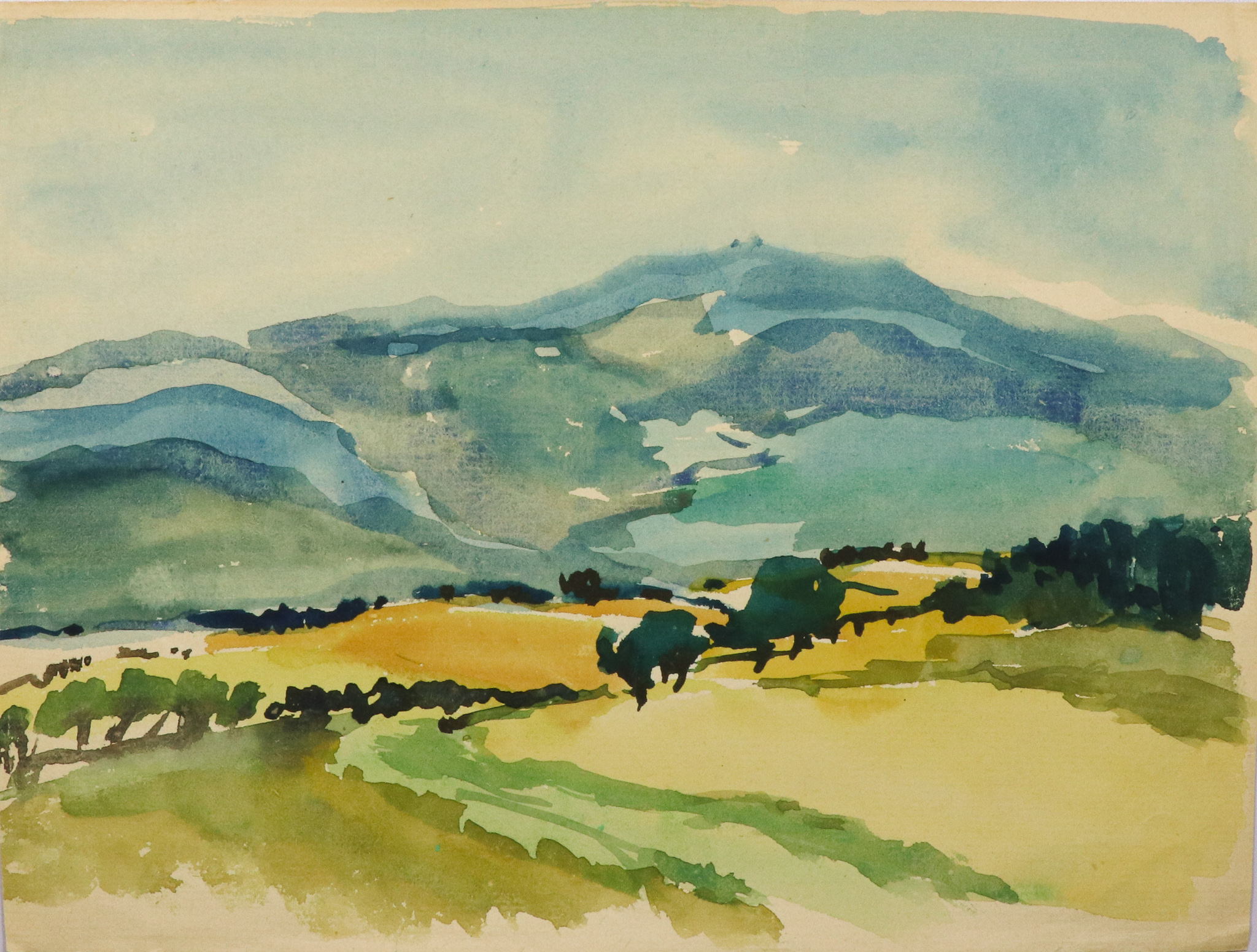 Felder vor Inselsberg